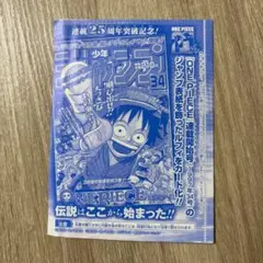 週刊少年ジャンプ付録 ワンピースカードゲーム P-033 モンキー・D・ルフィ