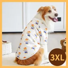 Item thumbnail for item 01443675-29f6-4c69-80fd-e4036412448e