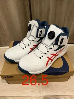 限定カラー】asics CP304 BOA LC.104 安全靴 26.0cm - メルカリ