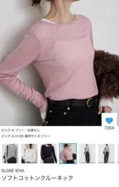 SLOBE IENA ソフトコットンクルーネックT 新品タグ