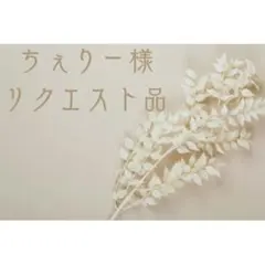 ちぇりー様専用