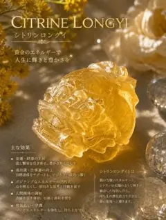 金運最強 シトリン蛇 オルゴナイト 白蛇抜け殻 銭亀封入&シトリン