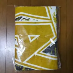 E.YAZAWA ロゴ スペシャルビーチタオルのサムネイル