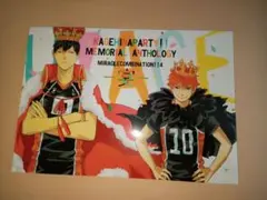 ハイキュー!! 同人誌　影日　かげひなパーティ!! 記念アンソロジー