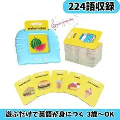 MN様専用　英単語 224語音声 ブルー フラッシュカード
