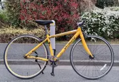 スペシャライズド ラングスター東京 SPlNERGY KASHIMAX