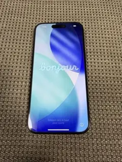 た*む様 Apple iPhone 15 Pro 512GB SIMフリー