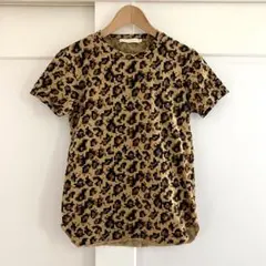 Saint Laurent Paris エディ期 2014 ベイビーキャット M Saint Laurent Paris エディ期 2014 ベイビーキャット M - メルカリ