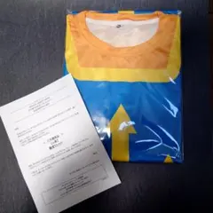 Item thumbnail for item 6c10e28a-d0f6-4fa4-af09-fa9523c0b75d