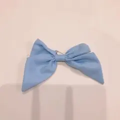 Item thumbnail for item 344e4265-cd4b-4747-b452-449f703039b2