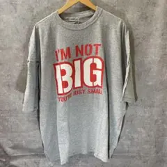 海外古着 I'M NOT BIG グレー Tシャツ　サイズ3XL