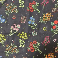 echino Tiny綿麻キャンパス生地