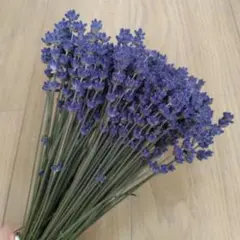 라벤더 드라이 플라워, 100, 잉글리시 라벤더