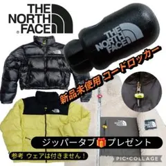 Item thumbnail for item f4b45a4f-a3f3-4dd3-8701-6dac51d5cd05