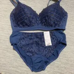 ネイビー×赤茶ライン　花　刺繍　ノンワイヤー　大きなサイズ　上下セット　3L