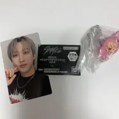 Stray Kids チャンビン♡カード