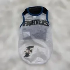 Item thumbnail for item 22bac4f0-418e-4882-9753-e2802cfb87d9