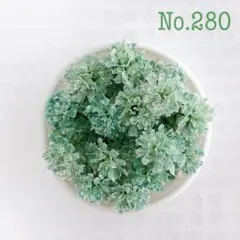 蜜柑様 リクエスト 9点 まとめ商品