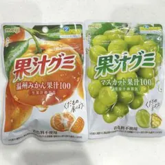 메이지 과즙 구미 온주 귤 무스카트 2봉 세트