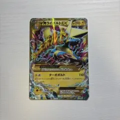 2026年最新】mライボルトex urの人気アイテム - メルカリ