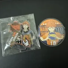 ハイキュー!! 日向翔陽