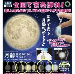 月齢　蓄光めじるしマスコット　　　　3種類セット