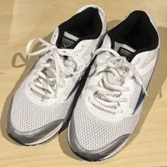 MIZUNO X10 ミズノ ランニングシューズ 25cm 内履き