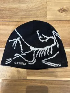 【国内正規品】アークテリクス バードヘッドトーク Orca