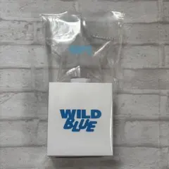 2026年最新】WiLD blue ペンライトの人気アイテム - メルカリ