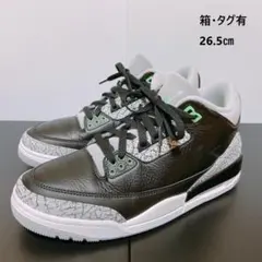 エアジョーダン3 レトロ グリーン／AIR JORDAN 3 RETRO