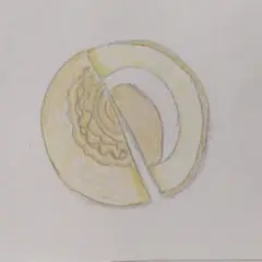 マロンパンの断面 手描き絵画