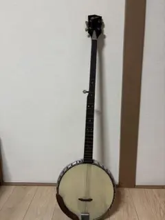 龍*朗様 美品 Vantage オープンバックバンジョー banjo - メルカリ