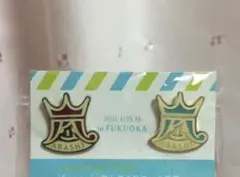 嵐 ARASHI コンサートグッズ 会場限定バッチ