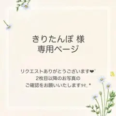 きりたんぽ様 おまとめ5点