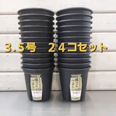 Aちゃん様 リクエスト 2点 まとめ商品
