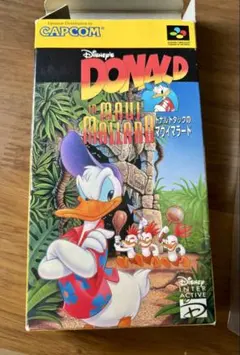 Disney's Donald in Maui Mallard