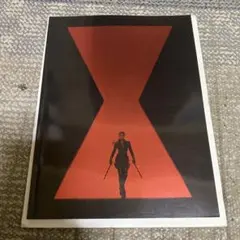 ブラックウィドウ映画パンフレット
