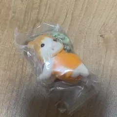 シルバニア　赤ちゃんフルーツパーティー　メイプルネコの赤ちゃん　ミスティー