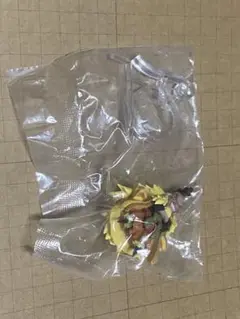 ワンピの実　シキ　カプセルなし