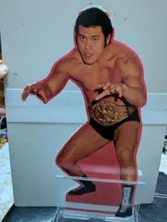 リー・ラブラダ 直筆サイン色紙 Lee Labrada プロ・ボディビルダー リー・ラブラダ ボディビル写真 A4サイズ - メルカリ