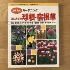 Item thumbnail for item b2e962db-d111-4189-91f1-4327eabb9855