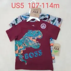 【新品】REX 恐竜Tシャツ  2枚セット  US5  107-114cm