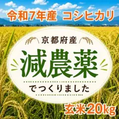令和7年産 京都府産 コシヒカリ 玄米20kg 減農薬 令和7年産 京都府産 コシヒカリ 玄米20kg 減農薬 - メルカリ
