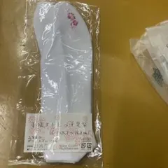 Item thumbnail for item 130f1ab4-e9b0-4584-a03a-0bdf0f427dac