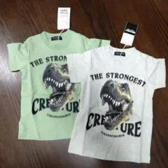 新品タグ付き 恐竜プリント Tシャツ 100cm 2枚セット