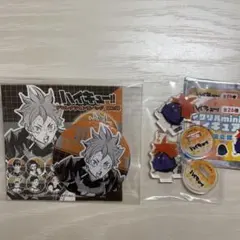 ハイキュー　日向　グッズセット