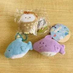 つぶらな瞳　水族館　動物園　3つセット