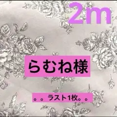 らむね様 リクエスト 2点 まとめ商品
