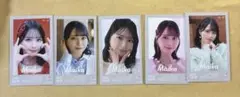 佐々木舞香 ミニフォト vol.10 コンプ イコラブ