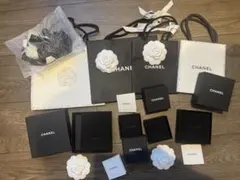 CHANEL ショップ袋とボックスセット